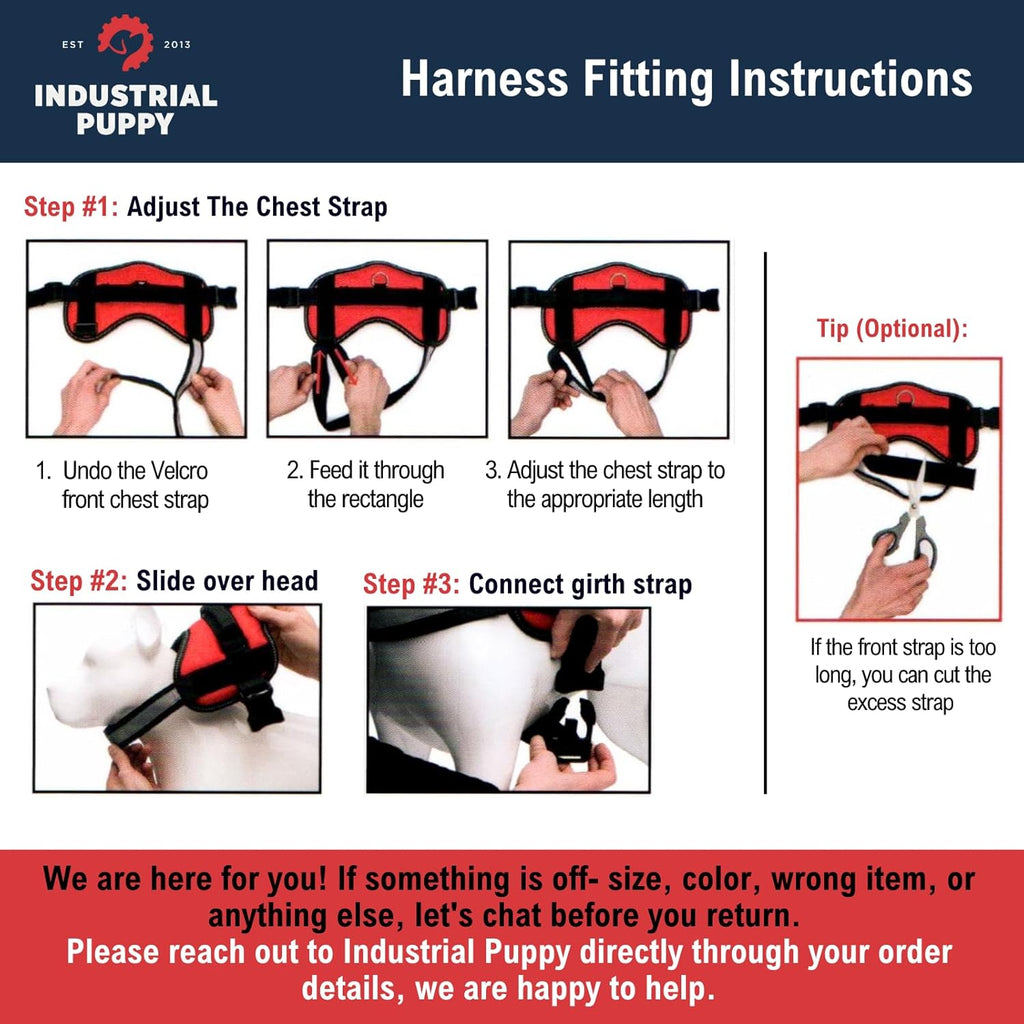 Service Dog Vest with Hook and Loop Straps & Matching Leash Set - Harnesses from XXS to XXL - Service Dog Harness Features Reflective Patch and Comfortable Mesh Design (Pink, XXS)