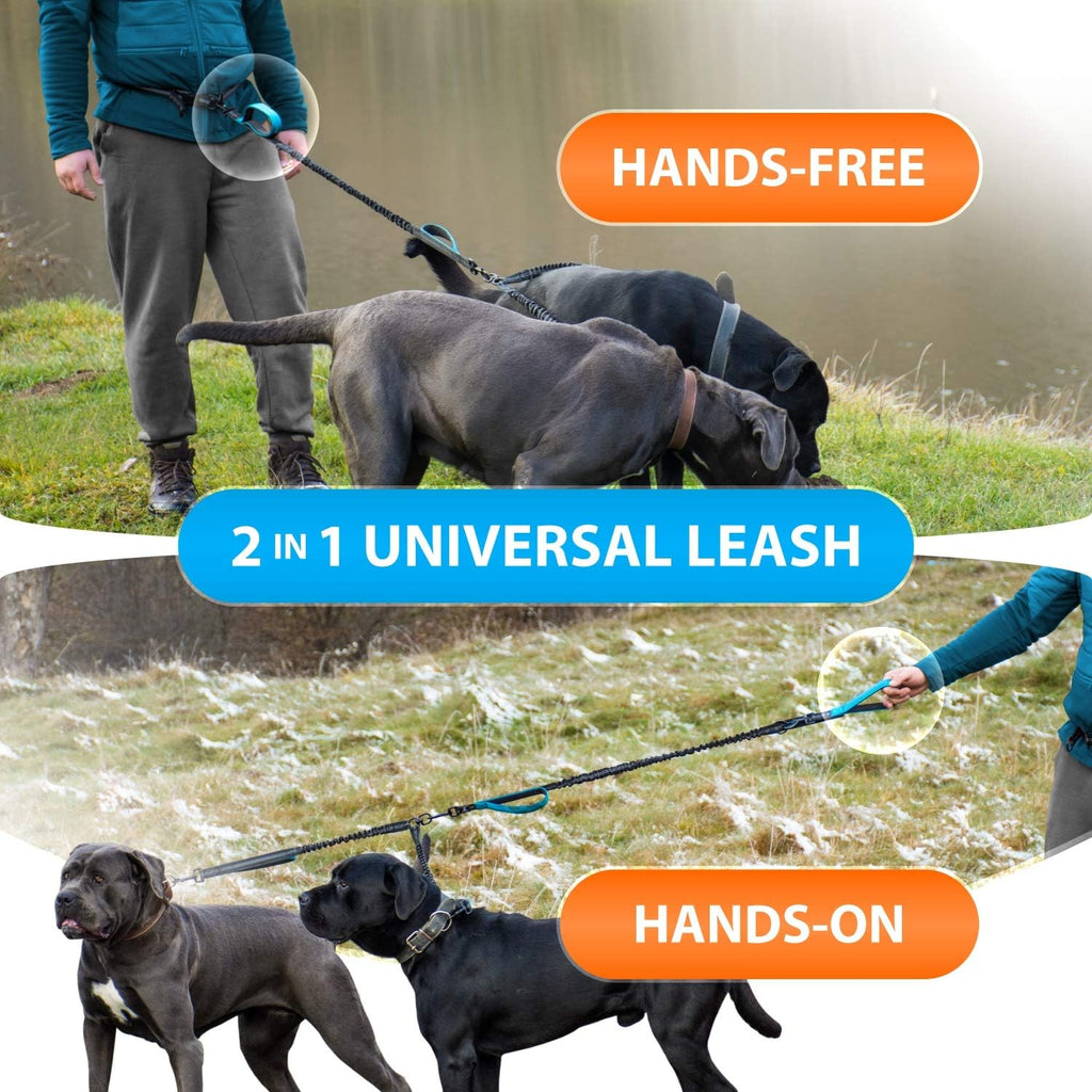Hands Free Double Dog Leash – Dual Leash for Medium and Large Breeds – Lead for 2 Dogs with Padded Handles, Reflective Stitches, No Pull, Tangle Free