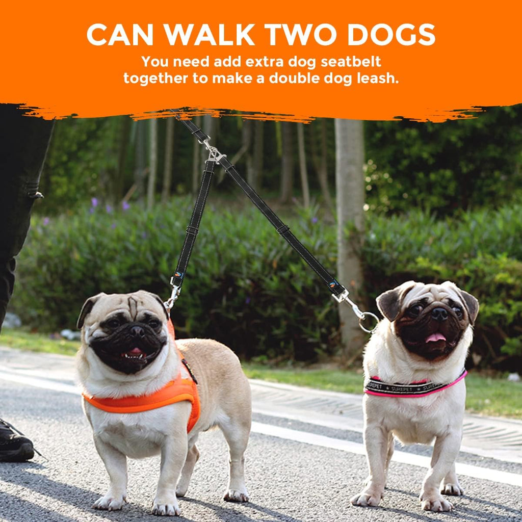 Dog Leash, 6 FT Dog Leash for Large Dogs Heavy Duty Dog Leashes for Medium and Small Dogs, Reflective Bungee Dog Leash for Dog Training, Nylon Dog Leash and Seatbelt Set(Black)