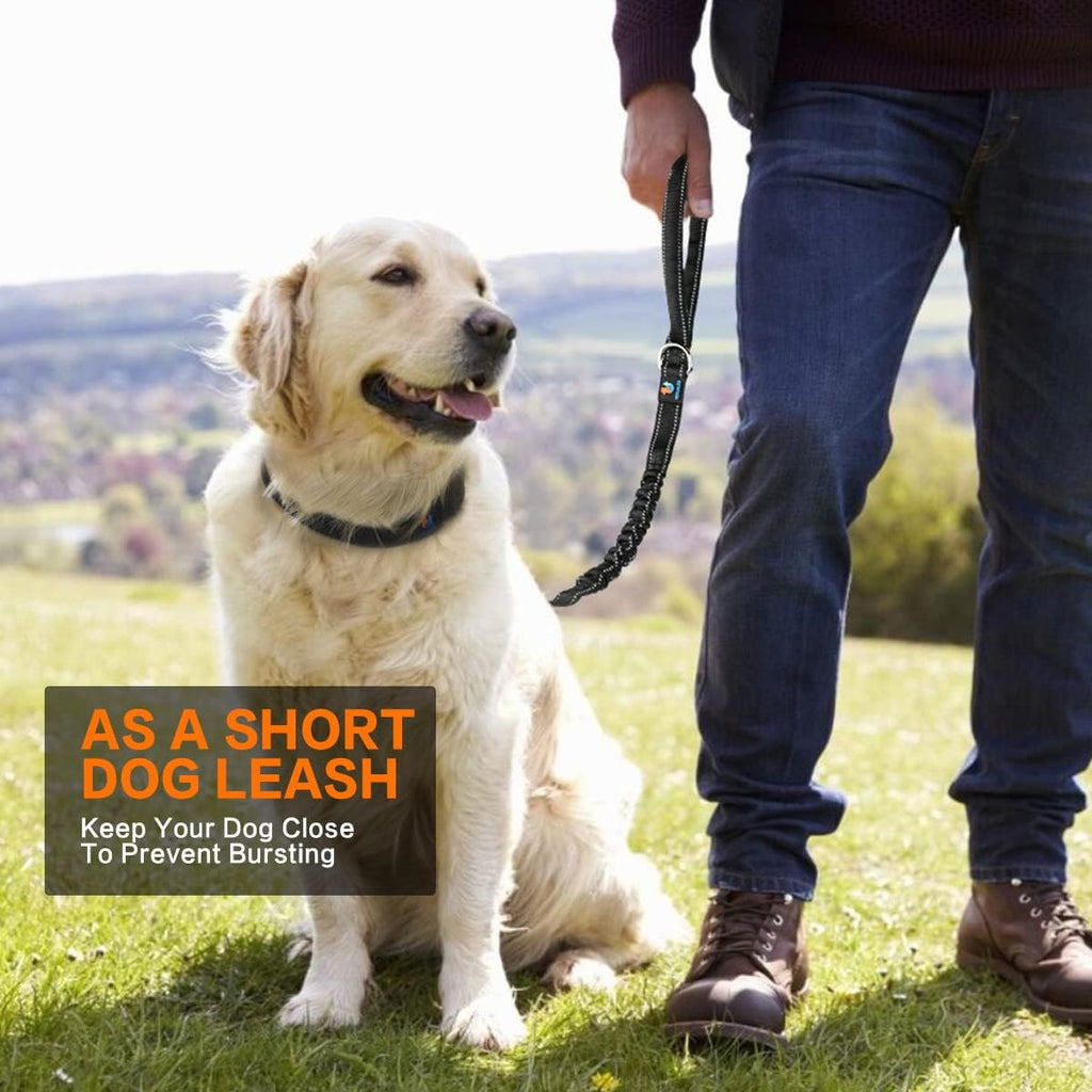 Dog Leash, 6 FT Dog Leash for Large Dogs Heavy Duty Dog Leashes for Medium and Small Dogs, Reflective Bungee Dog Leash for Dog Training, Nylon Dog Leash and Seatbelt Set(Black)