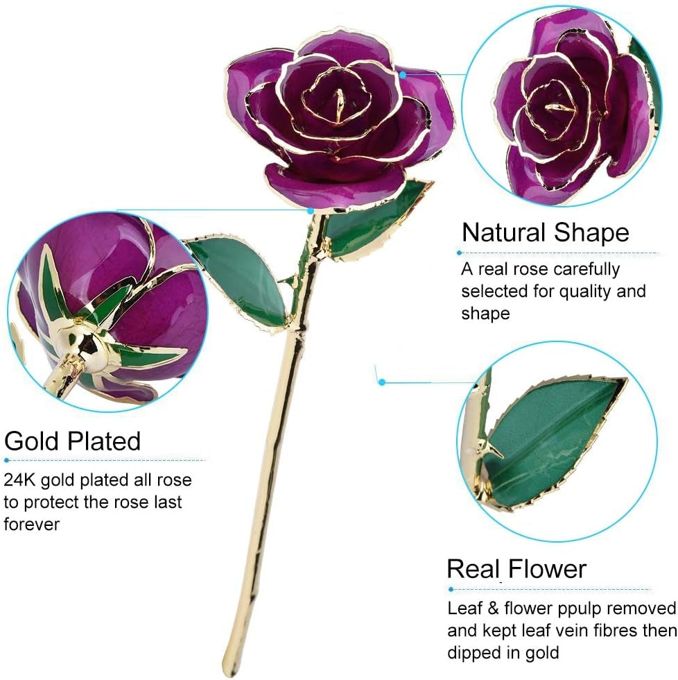 24K Purple Rose for Her, Dipped Gold Rose Love Real Golden Plated Preserved Eternal Flower with Rose Stand Present for Wife/Girlfriend/Lady (Purple)