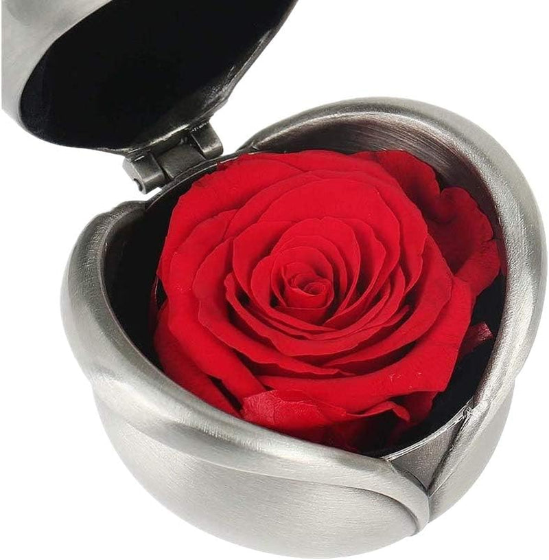 Best Gifts for Valentine'S Day, Preserved Flower Rose, Upscale Immortal Flowers, Gifts for Women, Mother'S Day, Valentine'S Day, Anniversary, Birthday, Flower, Roses, Love